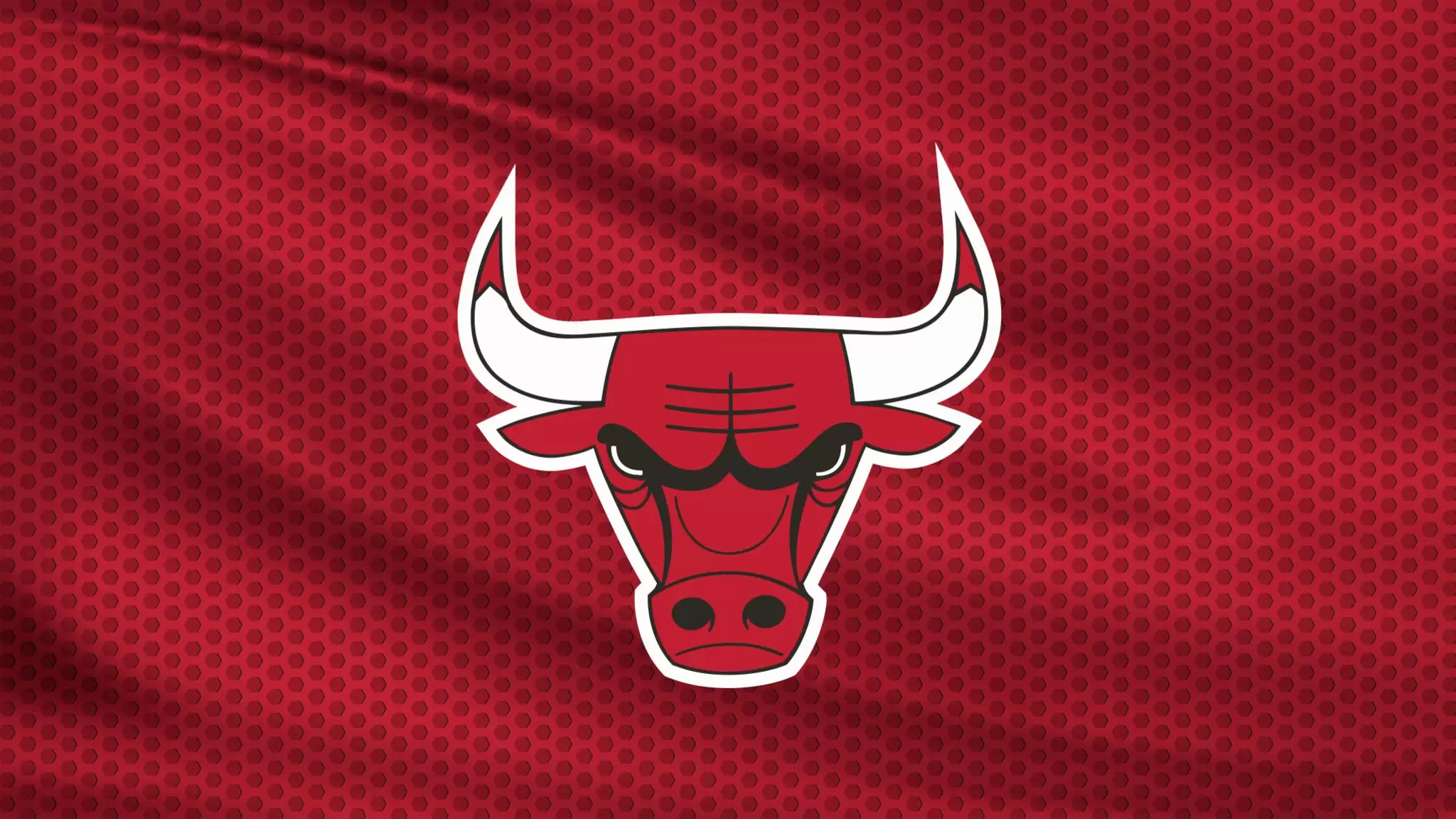 Chicago Bulls ainda persegue Dave Lewin