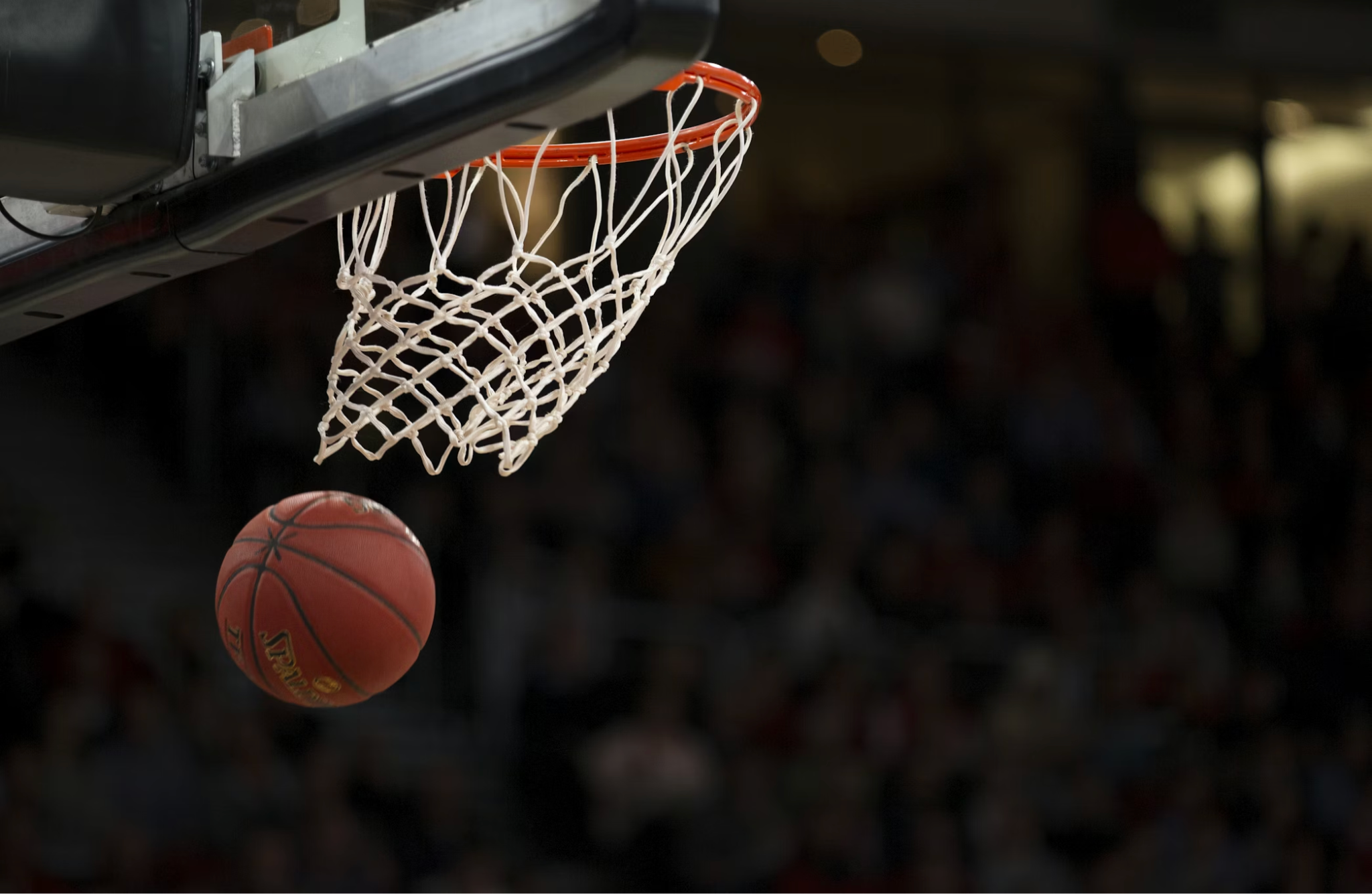 Ex-alunos da Duke que moldaram os playoffs da NBA de 2026