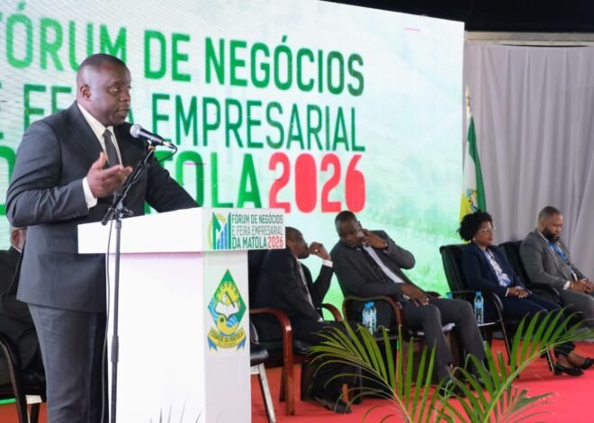 FÓRUM DE NEGÓCIOS DA MATOLA: Apela-se ao pagamento de impostos e reforço de parcerias com Índia e Japão – Jornal Domingo